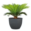Scheurich Firenze 60, Pflanzgefäß/Blumentopf/Pflanzkübel, Produktbild-Vorschau 2