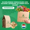 Kaiserkronen Knollen Mehrjährig - Fritillaria Imperialis Produktbild-Vorschau 6