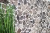 Mosaik Fliese Marmor Naturstein Bruch Ciot Impala braun Produktbild-Vorschau 2