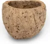 Paranussschale Natur Deko 7–10cm - Qurico Terrarium Produktbild-Vorschau 3