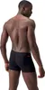 Plavky Speedo 8-00301417508 pro Pánské Náhled obrázku produktu 4