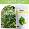 Bio2grow Klee-Mix 250 Gramm - Natürliches Gründüngung Produktbild-Vorschau 3
