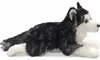 Carl Dick Husky, nero, sdraiato circa 32cm totale 2783 Anteprima dell’immagine prodotto 4