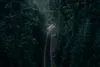 Muralo XXL Selbstklebende FOTOTAPETE Wald STRA§E Aussicht Produktbild-Vorschau 2