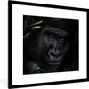 MuchoWow® MuchoWow® Gerahmtes Poster Affe - Tiere - Blätter Produktbild-Vorschau 1