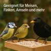 Three birds are gathered on a wooden bird feeder filled with seeds. Produktbild-Vorschau