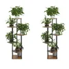 Two identical multi-tiered plant stands filled with green plants, presented against a white background. Anteprima dell’immagine prodotto