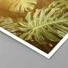 Poster - Poster ohne Rahmen - Blätter Monstera Licht - Produktbild-Vorschau 2