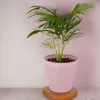 Blumen-Topf alt-rosa geriffelt als Outdoor Pflanzen-Topf Produktbild-Vorschau 7
