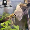 BioGecko Bowl Double - ciotola doppia sospesa per gechi Anteprima dell’immagine prodotto 4