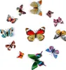 12 aimants lumineux 3D pour réfrigérateur, papillon, brille Voir les images du produit 5