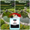Teicher Algenvernichter – Gegen Schwebe- & Blaualgen im Produktbild-Vorschau 4