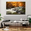 Bilder auf glas - Stream Herbst Forrest Berg - 120x80cm - Produktbild-Vorschau 6