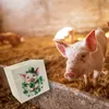 Süßes Schwein das Glück bringt Spardose aus Holz Produktbild-Vorschau 6