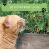 Katzenminze Samen Saatband 80 x 10 cm (Nepeta cataria) - Produktbild-Vorschau 5