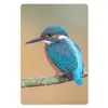 MuchoWow® Mauspad Mousepad Vogel - Eisvogel - Tiere - Zweig Produktbild-Vorschau 1