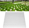 100Pcs Hydroponische Schwamm Pflanzung Gartenarbeit Produktbild-Vorschau 2