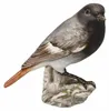 Goebel Vogel des Jahres 2025 Hausrotschwanz (Figur, Podgląd zdjęcia produktu 7