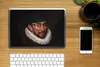 MuchoWow® Laptop Aufkleber Sticker Cover Wilhelm von Produktbild-Vorschau 2