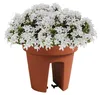Prosperplast Blumentopf LOFLY RAILING Terra 24,5 cm Produktbild-Vorschau 3