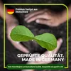 Gründüngung Mischung - Ganzjährige Aussaat 1 kg Produktbild-Vorschau 6