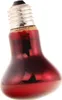 A close-up studio shot of a red heat lamp bulb against a white background. Anteprima dell’immagine prodotto