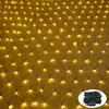 JOIEYOU LED Lichternetz 3x2m 250LEDs Lichterkettennetz Produktbild-Vorschau 1
