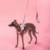 Laisse et Harnais Pour Chien Puppyjoy PJ-056 M Pink Voir les images du produit 2