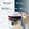PANTO Lämmermilch 10kg Eimer - Muttermilchersatz Schaf- und Produktbild-Vorschau 2