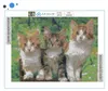 ARTULIO Diamond Painting Set - Drei niedliche Kätzchen im Produktbild-Vorschau 3