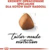 Marketing image for Royal Canin Ragdoll cat food. Náhled obrázku produktu