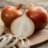 Cebula WOLSKA Nasiona 4g Toraf 28 Podgląd zdjęcia produktu 13