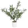 Albero di ulivo decorativo, 58 cm Anteprima dell’immagine prodotto 6