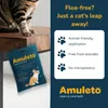 Amuleto Clean & Care Bath - Shampoo antiparassitario per Anteprima dell’immagine prodotto 2