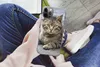 MuchoWow® Handyhülle Schutzhülle Hülle für iPhone 13 Pro Produktbild-Vorschau 3