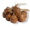 GardenTaurus® 30 Stück Blumenzwiebeln Safrankrokus, Crocus Produktbild-Vorschau 2