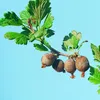 BIOCONT LABORATORY, spol. s r.o. VitiSan - 100 g Náhľad obrázku produktu 2