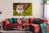 MuchoWow® Poster Grauer Zwerghamster 120x80 cm - Bilder Produktbild-Vorschau 2