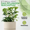 BioGreen Pflanzenlampe "FLORABOOSTER 200" mit Vollspektrum Produktbild-Vorschau 9