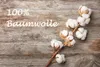 Minion Renforcé Spannbetttuch Bello Spannbettlaken Produktbild-Vorschau 3