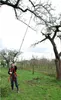 Silky 3-teilige Teleskopsäge Forester 3000, Astsäge Produktbild-Vorschau 8
