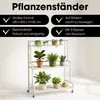 Étagère à plantes sur roulettes Mica Decorations Greenrax - Voir les images du produit 2