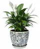 Mattweisser Keramikblumentopf Mit Blumengravur, Durchmesser Produktbild-Vorschau 1