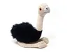A plush toy ostrich sitting on a white background. Produktbild-Vorschau