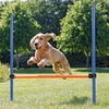Agility-Hürden-Set für Hunde, 12 Slalomstangen, Hürden Produktbild-Vorschau 2