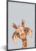 MuchoWow® Gerahmtes Poster Giraffe - Grau - Porträt 60x90 Produktbild-Vorschau 1