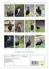Der Waldrapp - Der etwas andere Vogel (Wandkalender 2027 Produktbild-Vorschau 2