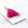 Flachs Getrocknete - (Leinen) - Fuchsia Produktbild-Vorschau 3