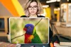 MuchoWow® Laptop Aufkleber Sticker Cover Vogel - Sittich - Produktbild-Vorschau 5