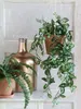 Mica Decorations Fittonia hängende Kunstpflanze - H80 cm - Produktbild-Vorschau 2
